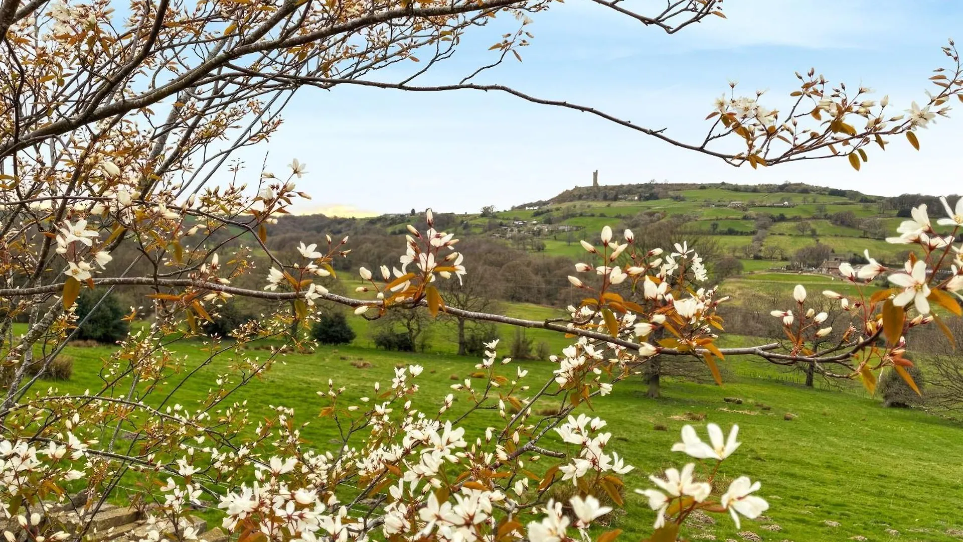 Appleshine Cottage Almondbury